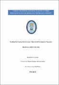 Portada de {{title}}: TESIS MBA Brizuela Ma Emilia Año 2021.pdf