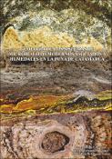 Portada de {{title}}: Tesis Doctoral _Lencina 2020.pdf