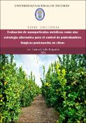 Portada de {{title}}: Tesis Baigorria final .pdf
