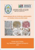 Portada de {{title}}: TESIS Echeverría_final.pdf