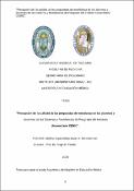 Portada de {{title}}: 2020 SCHVARTZMAN JAVIER A.pdf