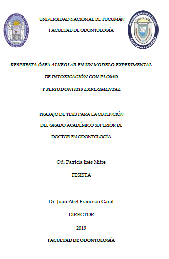 Portada de {{title}}: MitreP_Tesis_2019.pdf