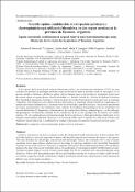 Portada de {{title}}: 3.Ibarreche.pdf