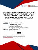 Portada de {{title}}: DETERMINACION DE COSTOS Y PROYECTO DE INVERSION DE UNA PRODUCCION APICOLA.pdf