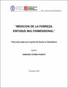 Portada de {{title}}: TESIS-ADRIANA-PANICO.pdf