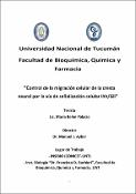Portada de {{title}}: TESIS DOCTORAL 2023 - PALACIO, M. B..pdf