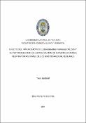 Portada de {{title}}: Clua Patricia Tesis Doctoral.pdf