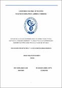 Portada de {{title}}: Moreno Mochi Tesis Doctoral.pdf