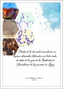 Portada de {{title}}: Ancasi Gustavo Tesis Doctoral.pdf
