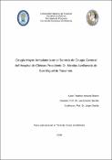 Portada de {{title}}: 2019 BRAHIN FEDERICO ANTONIO.pdf