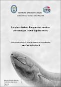 Portada de {{title}}: 00010132--S_1109--De_Pauli,_Ana_Cecilia_Del_Valle--pdf_a--fd_fvp.pdf