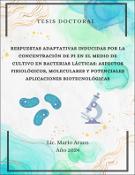 Portada de {{title}}: Tesis Doctoral Mario Araoz.pdf